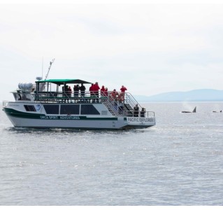 Victoria Whale Watching Covered Vessel Tour (Summer)