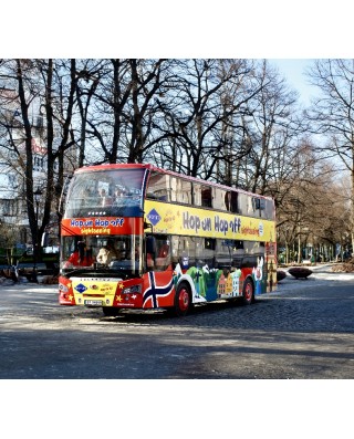 Bus & Sightseeing Tours