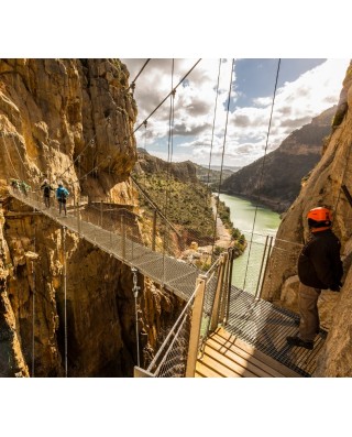 Bus & Sightseeing Tours