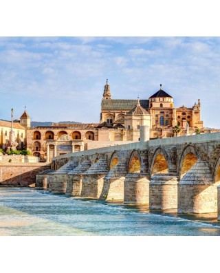 Bus & Sightseeing Tours