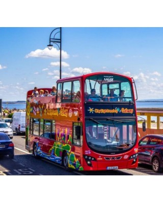 Bus & Sightseeing Tours