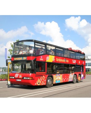 Bus & Sightseeing Tours