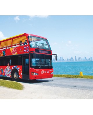 Bus & Sightseeing Tours