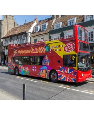 Bus & Sightseeing Tours