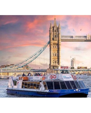 Boat Tours