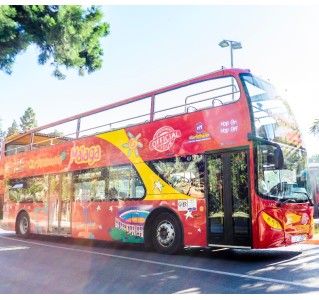 1-Day Malaga Essential Experience: Bus & Boat Tour + Museums Tickets