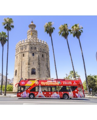 Bus & Sightseeing Tours