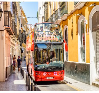 Seville 1-Day Hop-On Hop-Off Bus