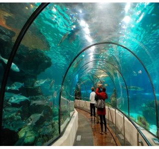 Sea Life Benalmadena Tickets + City Bus Tour