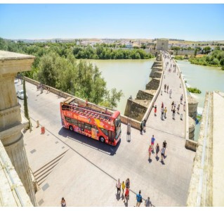 Cordoba 1-Day Hop-On Hop-Off Tour