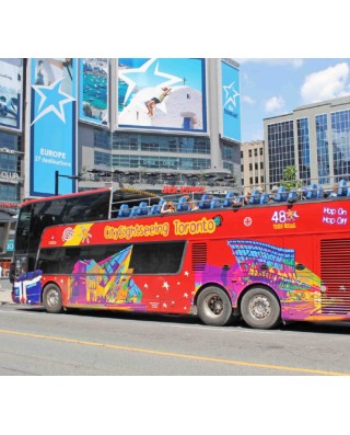 Hop-on Hop-off Tours