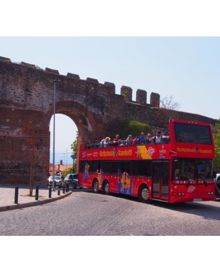 Bus & Sightseeing Tours
