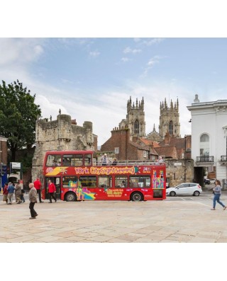 Bus & Sightseeing Tours