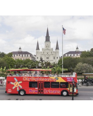 Bus & Sightseeing Tours