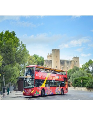 Bus & Sightseeing Tours