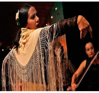 Seville 2-Day Hop-on Hop-off + Aquarium + Flamenco + 4 Walking Tours 