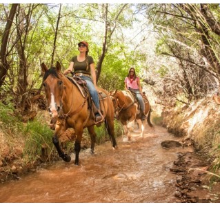 Castle Valley Mid-Day Horseback Ride