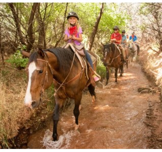 Castle Valley Mid-Day Horseback Ride