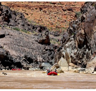 Westwater Canyon Full-Day Rafting Adventure