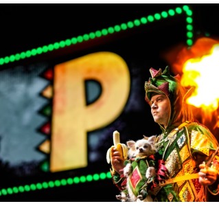 Piff The Magic Dragon PRICES FROM $ 69.00