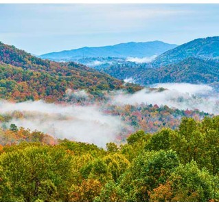 Elkmont Tour