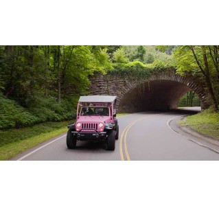 Newfound Gap Smoky Mountains Tour