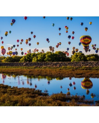 Albuquerque, NM
