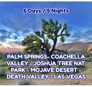6 Day Tour - Joshua Tree & Death Valley Tour