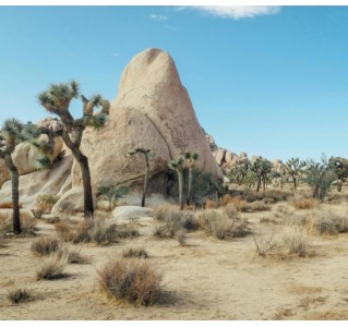 6 Day Tour - Joshua Tree & Death Valley Tour