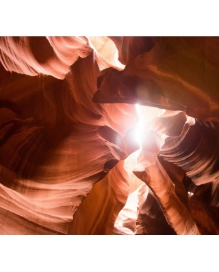 Arizona