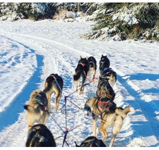 6 Day Tour - Alaska's Northern Lights Adventure Tour 6 Day Tour - Alaska's Northern Lights Adventure Tour