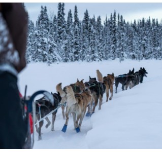 10 Day Tour - Magnificent Alaska