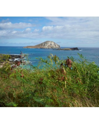 Escorted Tours From Oahu