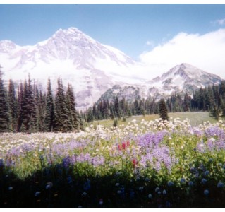 8 Day Tour - Olympic National Park and the Pacific Northwest