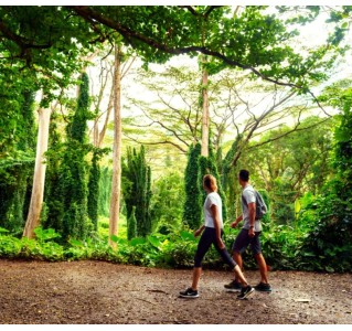 7 Day Tour - Hawaii Oahu Active Adventure 7 Day Tour - Hawaii Oahu Active Adventure
