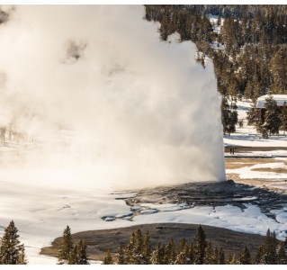 6 Day Tour - Yellowstone & Grand Teton Winter Adventure