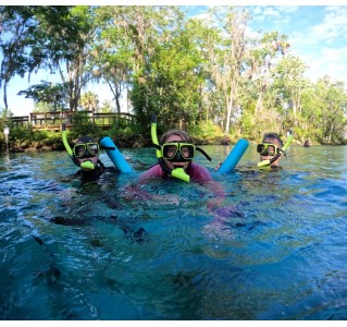 2 Night "Break Away" at Crystal River, Manatee Swim & Boat Tour