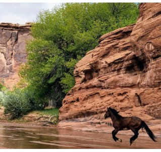 4 Day - Canyon de Chelly: Culture and Heritage of the Navajo Nation