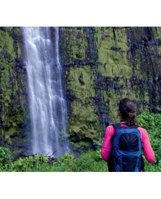 Escorted Tours from Kailua-Kona