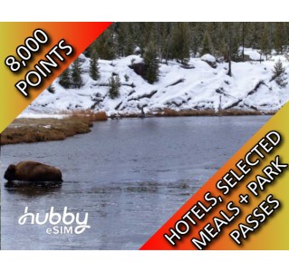 8 Day Tour - Yellowstone Winter Wildlife Walks