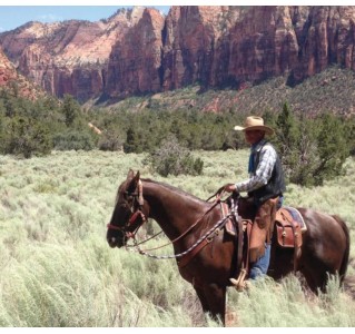 14 Day Tour - National Parks of the West - San Francisco to Las Vegas