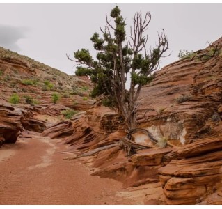 Rams Head Canyon Tour