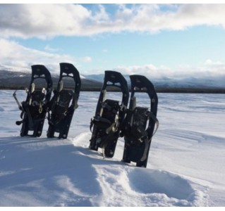 Kluane Snowshoe Tour - Full Day