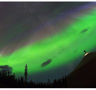 4 Day Aurora Borealis Viewing (Summer) - Yukon Wildlife