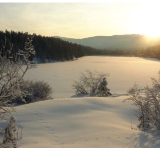 Snowshoeing Tour - Half Day