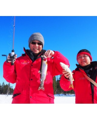 Arctic Adventure Tours 