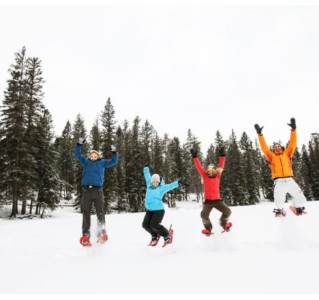 4 Day Aurora Borealis Viewing - Snowshoeing & Yukon Wildlife