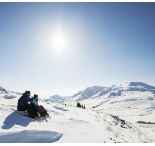 Snowshoeing Tour - Half Day