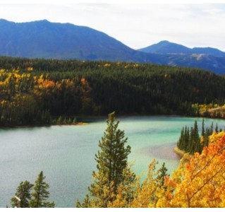 Carcross & Southern Lakes Hiking Tour - Full Day