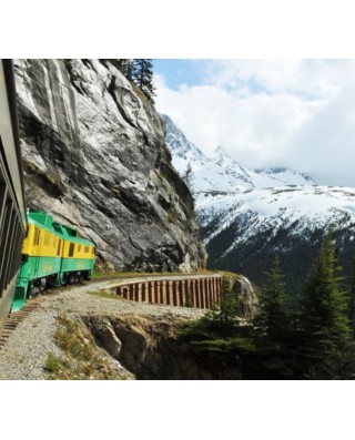Train Tours